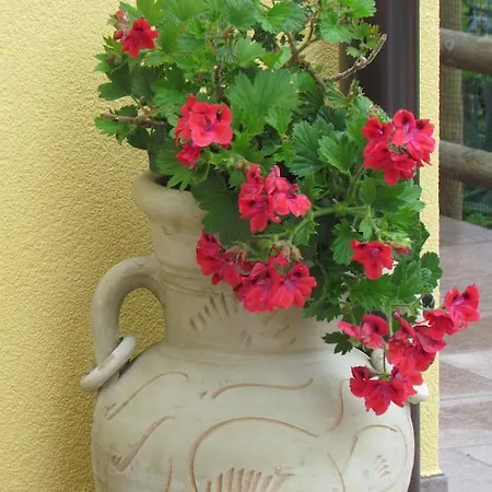 Bed and breakfast Abelia