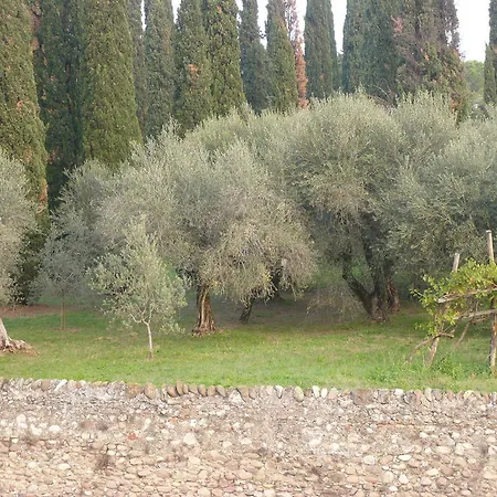 Bed and breakfast Abelia 3*
