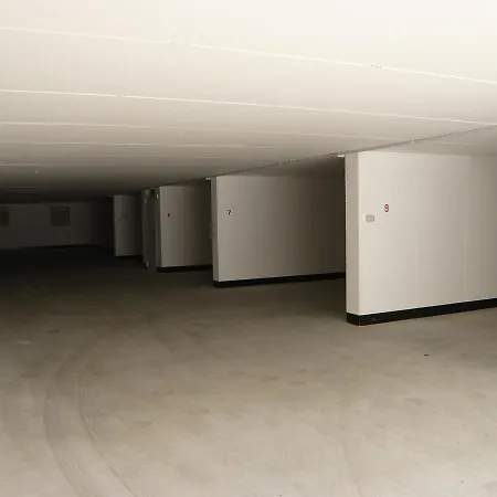 Abelia Colà